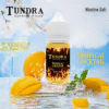 TUNDRA TROPICAL T牌芒果 小煙油推薦 30ml/30mg 馬來西亞經典品牌